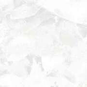 ヒメ日記 2025/08/28 11:21 投稿 紗奈(さな) グランドオペラ福岡