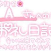 ヒメ日記 2024/01/19 23:27 投稿 葉月 れいな ハレ系 ひよこ治療院(中州)