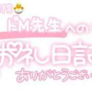 ヒメ日記 2024/02/02 21:11 投稿 葉月 れいな ハレ系 ひよこ治療院(中州)