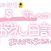 ヒメ日記 2024/03/08 22:43 投稿 葉月 れいな ハレ系 ひよこ治療院(中州)