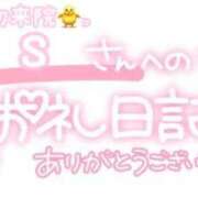 ヒメ日記 2024/03/28 22:31 投稿 葉月 れいな ハレ系 ひよこ治療院(中州)