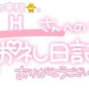 ヒメ日記 2024/03/28 23:15 投稿 葉月 れいな ハレ系 ひよこ治療院(中州)