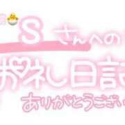 ヒメ日記 2024/04/13 23:15 投稿 葉月 れいな ハレ系 ひよこ治療院(中州)