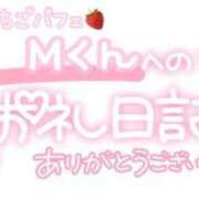 ヒメ日記 2024/06/15 23:15 投稿 葉月 れいな ハレ系 ひよこ治療院(中州)