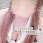 ヒメ日記 2024/12/13 09:00 投稿 葉月 れいな ハレ系 ひよこ治療院(中州)