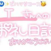 ヒメ日記 2025/01/20 23:30 投稿 葉月 れいな ハレ系 ひよこ治療院(中州)