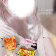 ヒメ日記 2025/02/16 01:15 投稿 葉月 れいな ハレ系 ひよこ治療院(中州)