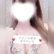 ヒメ日記 2025/03/31 09:02 投稿 葉月 れいな ハレ系 ひよこ治療院(中州)