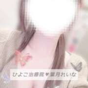 ヒメ日記 2025/04/07 09:08 投稿 葉月 れいな ハレ系 ひよこ治療院(中州)