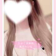 ヒメ日記 2025/04/17 09:03 投稿 葉月 れいな ハレ系 ひよこ治療院(中州)