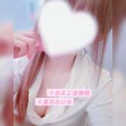 ヒメ日記 2025/07/31 09:02 投稿 葉月 れいな ハレ系 ひよこ治療院(中州)