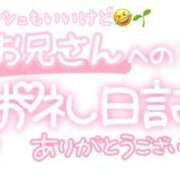 ヒメ日記 2025/08/14 18:30 投稿 葉月 れいな ハレ系 ひよこ治療院(中州)