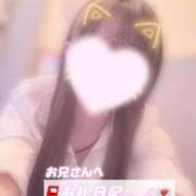 ヒメ日記 2025/12/17 02:30 投稿 葉月 れいな ハレ系 ひよこ治療院(中州)