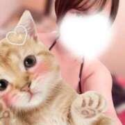 ふう 🧡今日いるよ〜❣️ 激安ソープの殿堂　ボイン・ホーテ