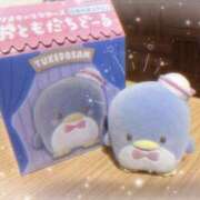 ヒメ日記 2025/03/08 16:55 投稿 とあ 東京エンジェルライン 立川店