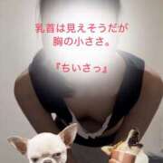 ヒメ日記 2025/04/03 09:11 投稿 ゆら スピードエコ京橋店