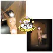 ヒメ日記 2025/04/20 11:21 投稿 ゆら スピードエコ京橋店