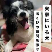 ヒメ日記 2025/06/17 09:21 投稿 ゆら スピードエコ京橋店