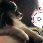 ヒメ日記 2025/07/10 18:02 投稿 ゆら スピードエコ京橋店