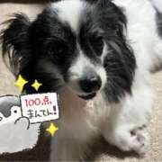 ヒメ日記 2025/07/17 11:31 投稿 ゆら スピードエコ京橋店