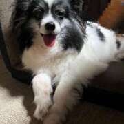 ヒメ日記 2025/07/23 19:41 投稿 ゆら スピードエコ京橋店