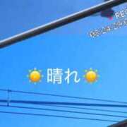 ヒメ日記 2025/07/25 09:31 投稿 ゆら スピードエコ京橋店