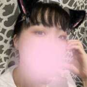 ヒメ日記 2025/08/17 09:41 投稿 ゆら スピードエコ京橋店