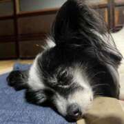 ヒメ日記 2025/08/27 09:41 投稿 ゆら スピードエコ京橋店