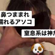 ヒメ日記 2025/11/02 20:35 投稿 ゆら スピードエコ京橋店