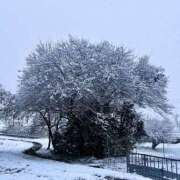 ヒメ日記 2026/01/03 10:21 投稿 ゆら スピードエコ京橋店