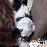 ヒメ日記 2026/01/19 05:51 投稿 ゆら スピードエコ京橋店