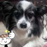 ヒメ日記 2026/01/20 09:21 投稿 ゆら スピードエコ京橋店