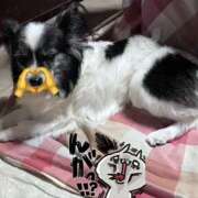 ヒメ日記 2026/01/24 09:21 投稿 ゆら スピードエコ京橋店