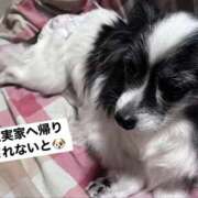 ヒメ日記 2026/02/22 07:01 投稿 ゆら スピードエコ京橋店