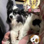 ヒメ日記 2026/02/25 05:51 投稿 ゆら スピードエコ京橋店