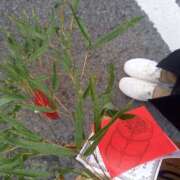 ヒメ日記 2025/01/09 21:08 投稿 ★魅力満点の可愛いフェロモン系ママ『 新人 まゆちゃん 』 ママにおまかせ「マニアック専科」