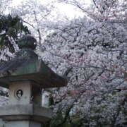 ヒメ日記 2025/04/01 02:38 投稿 ★魅力満点の可愛いフェロモン系ママ『 新人 まゆちゃん 』 ママにおまかせ「マニアック専科」