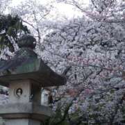 ヒメ日記 2025/04/08 20:00 投稿 ★魅力満点の可愛いフェロモン系ママ『 新人 まゆちゃん 』 ママにおまかせ「マニアック専科」