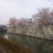 ヒメ日記 2025/04/09 19:30 投稿 ★魅力満点の可愛いフェロモン系ママ『 新人 まゆちゃん 』 ママにおまかせ「マニアック専科」