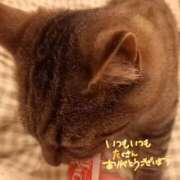 ヒメ日記 2025/05/02 06:24 投稿 ★魅力満点の可愛いフェロモン系ママ『 新人 まゆちゃん 』 ママにおまかせ「マニアック専科」