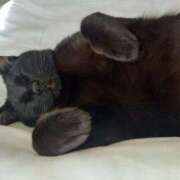 ヒメ日記 2025/05/15 21:52 投稿 ★魅力満点の可愛いフェロモン系ママ『 新人 まゆちゃん 』 ママにおまかせ「マニアック専科」