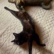 ヒメ日記 2025/05/19 04:56 投稿 ★魅力満点の可愛いフェロモン系ママ『 新人 まゆちゃん 』 ママにおまかせ「マニアック専科」