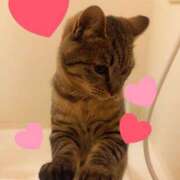 ヒメ日記 2025/05/24 16:50 投稿 ★魅力満点の可愛いフェロモン系ママ『 新人 まゆちゃん 』 ママにおまかせ「マニアック専科」