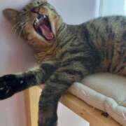 ヒメ日記 2025/05/29 10:52 投稿 ★魅力満点の可愛いフェロモン系ママ『 新人 まゆちゃん 』 ママにおまかせ「マニアック専科」