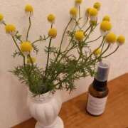 ヒメ日記 2025/06/06 06:20 投稿 ★魅力満点の可愛いフェロモン系ママ『 新人 まゆちゃん 』 ママにおまかせ「マニアック専科」