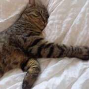 ヒメ日記 2025/06/17 19:40 投稿 ★魅力満点の可愛いフェロモン系ママ『 新人 まゆちゃん 』 ママにおまかせ「マニアック専科」