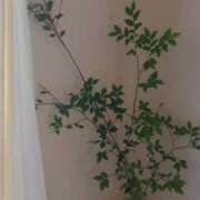 ヒメ日記 2025/06/28 17:28 投稿 ★魅力満点の可愛いフェロモン系ママ『 新人 まゆちゃん 』 ママにおまかせ「マニアック専科」