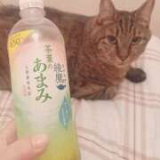 ヒメ日記 2025/08/11 01:50 投稿 ★魅力満点の可愛いフェロモン系ママ『 新人 まゆちゃん 』 ママにおまかせ「マニアック専科」