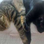 ヒメ日記 2025/08/23 16:16 投稿 ★魅力満点の可愛いフェロモン系ママ『 新人 まゆちゃん 』 ママにおまかせ「マニアック専科」