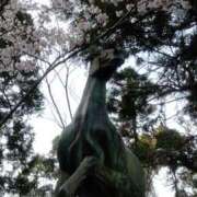 ヒメ日記 2026/04/03 18:04 投稿 ★魅力満点の可愛いフェロモン系ママ『 新人 まゆちゃん 』 ママにおまかせ「マニアック専科」